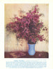 Common Wax-flower (Chamaelaucium uncinatum). West Australian Wild Flowers 1950