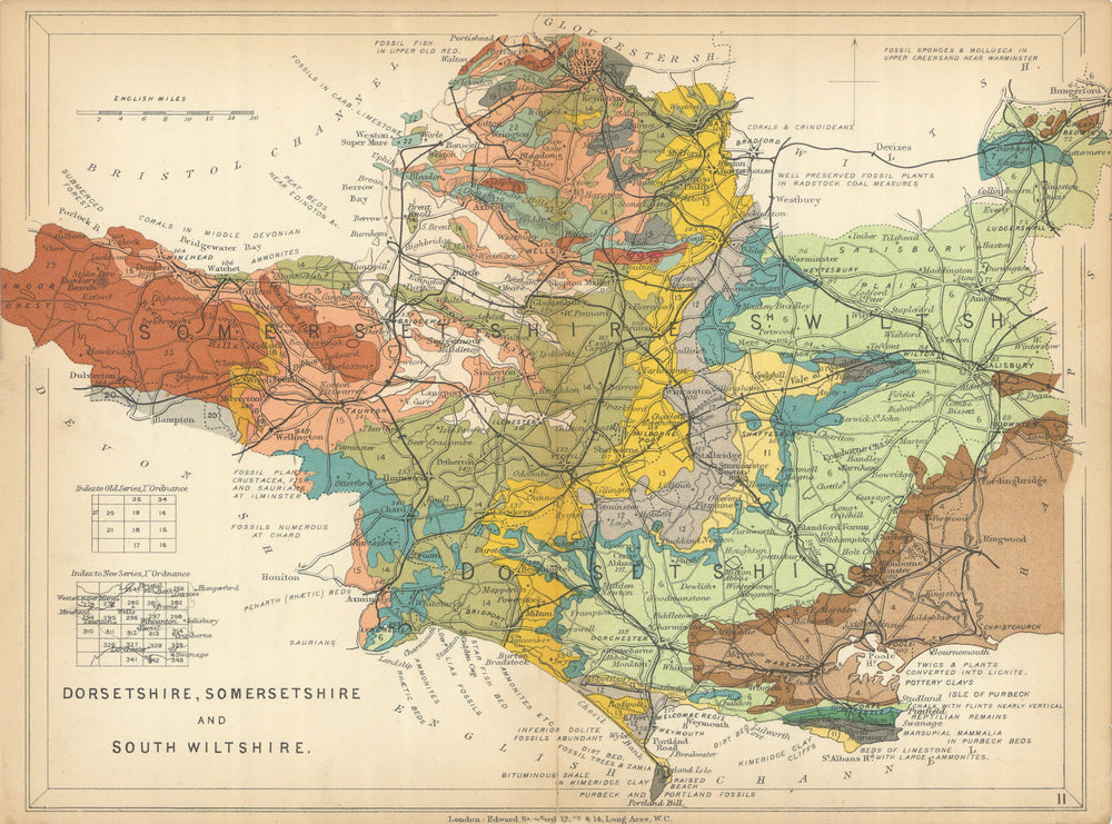 DORSET, SOMERSET AND SOUTH WILTSHIRE Geological map. STANFORD 1904 old