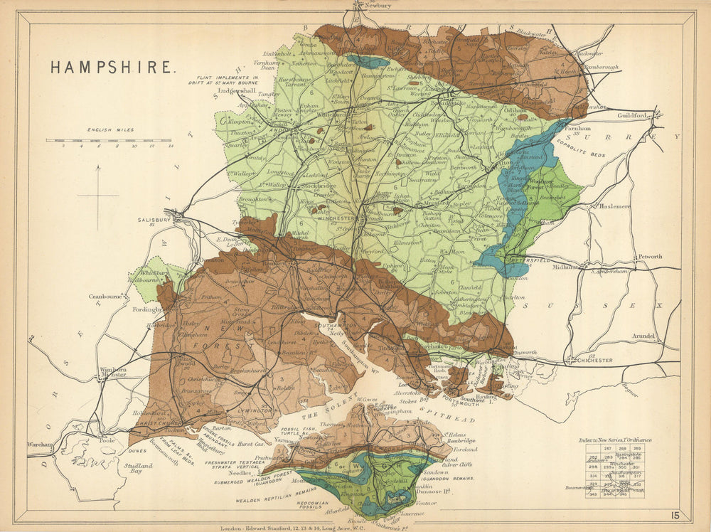 HAMPSHIRE Geological map. Isle of Wight. STANFORD 1904 old antique chart