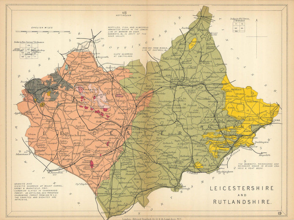 LEICESTERSHIRE AND RUTLANDSHIRE Geological map. STANFORD 1904 old antique
