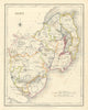 COUNTY DOWN antique map for LEWIS by CREIGHTON & DOWER. Ulster 1850 old