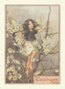 Blackthorn Fairy by Cicely Mary Barker. Flower Fairies of the Trees c1940