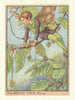Beech Tree Fairy by Cicely Mary Barker. Flower Fairies of the Trees c1940