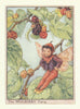 Mulberry Fairy by Cicely Mary Barker. Flower Fairies of the Trees c1940 print