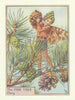 Pine Tree Fairy by Cicely Mary Barker. Flower Fairies of the Trees c1940 print