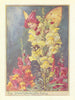 Snapdragon Fairy by Cicely Mary Barker. Flower Fairies of the Garden c1940