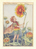 Gaillardia Fairy by Cicely Mary Barker. Flower Fairies of the Garden c1940