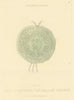 Seal of Edward the Black Prince 1827 old antique vintage print picture