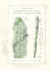 Gleneagles King's Course - plan of the 18th hole 