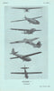 General Aircraft Hengist I Transport. Aircraft recognition photos 1944 print