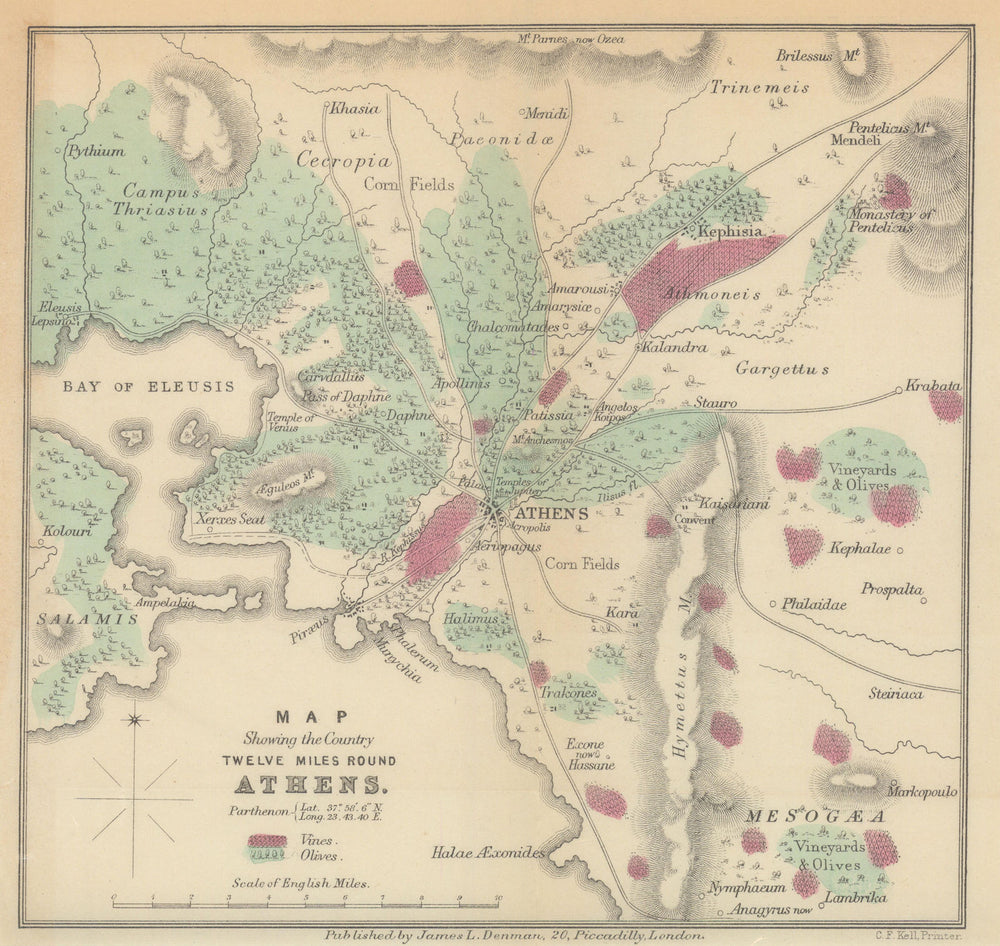 Map of Athens region vineyards and olive cultivation by James Denman 1875