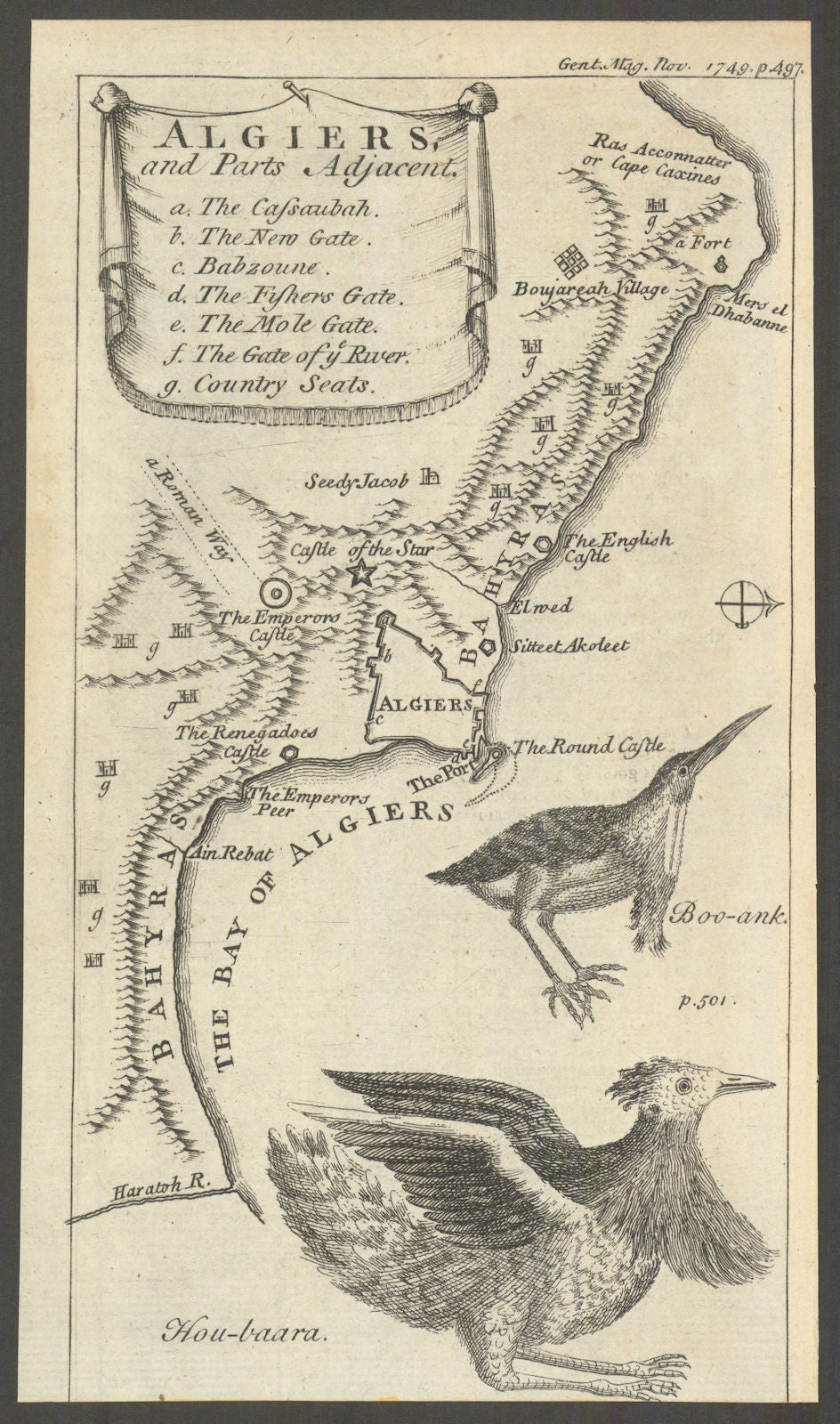 Algiers and Parts adjacent. Gentleman's magazine. Bittern & Houbara 1749 map