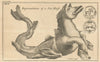 Representation of a Sea-horse. Counter with a seven headed beast Meritrixba 1763