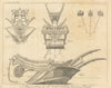 A representation of Mr. Cuthbert Clarke's Draining Plough. Gent's Mag 1767