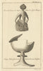 Leverian Collection fungus. Lycoperdon. Chalice, Lichfield Cathedral 1772