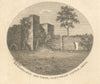 Remarkable Ash Tree in Saltwood Castle, Kent 1815 old antique print picture