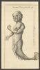 The Syren drawn from the life. Siren. Greece. Classics 1759 old antique print