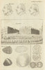 Procession of the States General at Paris 4 May 1789. French Revolution 1790