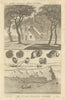 John Swete’s Gothic Summer House, Oxton, Devon. Island of Iona, Scotland 1793