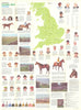 Bartholomew Racing Map of Britain. Horse racing heritage map. 75x100cm 1974