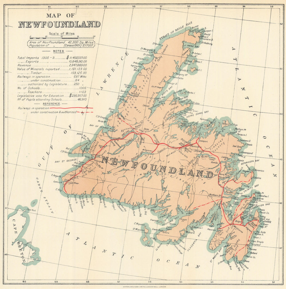 Map of Newfoundland showing railways by Waterlow & Sons 1919 old antique