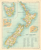 New Zealand showing counties. Inset Tasmania Auckland Dunedin 1909 old map