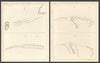 Battle of the Saintes, April 9 & 12 1782, Caribbean — Rodney — 2 sheets 1824 map