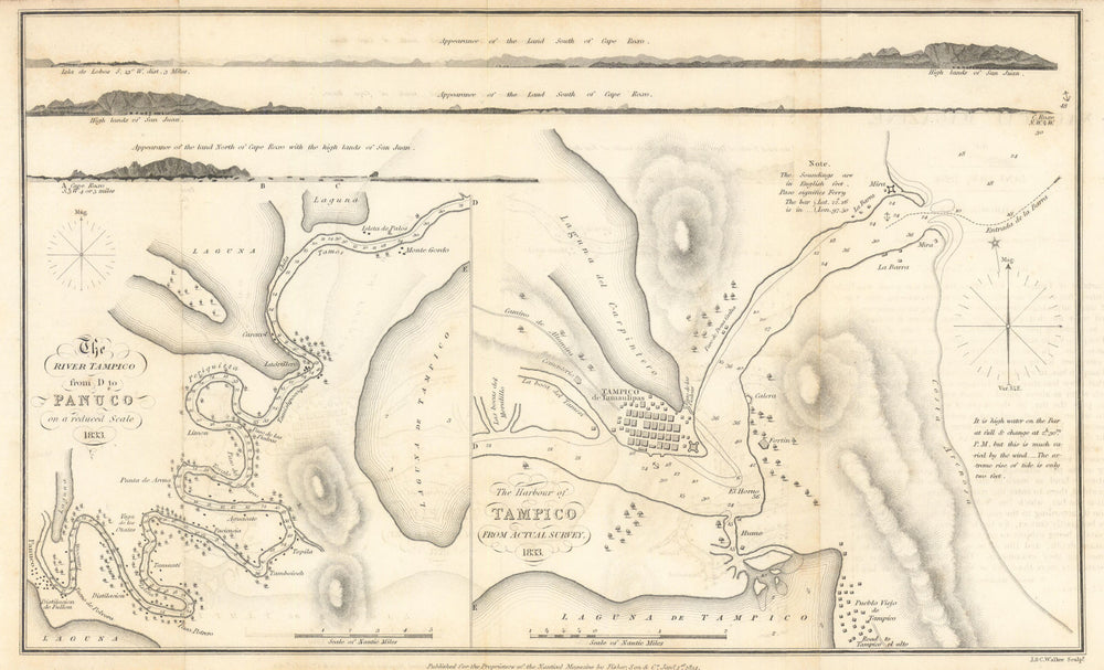 The Harbour & River Tampico from D to Panuco by J. & C. Walker. Mexico 1834 map
