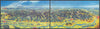 Schwarzwald—Black Forest—panoramic bird's eye view map—Heinrich Berann 1968