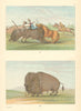 Chardon’s Leap—buffalo hunt with Batiste—Northern Plains—Catlin 1841 (1892)