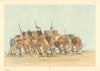 Native Americans—Buffalo Dance—North Dakota—Mandan—Catlin 1841 (1892) print