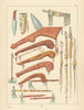 Native American weapons—bows—shields—clubs—lances—Plains—Catlin 1841 (1892)