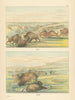 Buffalo bulls in running season & in his wallow—Great Plains—Catlin 1841 (1892)
