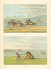 Native Americans—Lassoing & breaking a wild horse—Texas—Catlin 1841 (1892)
