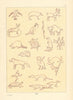 Native American symbolic writings & totems—United States—Catlin 1841 (1892)