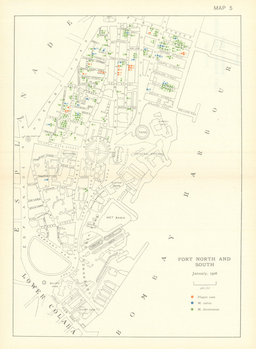 3rd Plague Pandemic—Mumbai—Fort North & South—Bombay—January 1906—dot map 1911