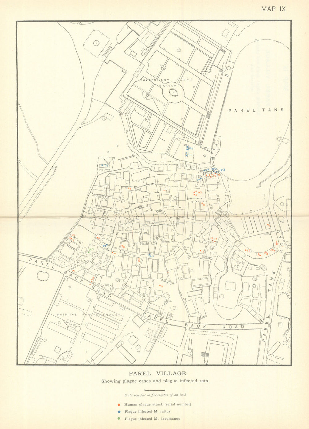 3rd Plague Pandemic—Mumbai—Bombay—Parel Village—human & rat cases—dot map 1911