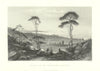 View of Dublin Bay & Kingstown Harbour/Dún Laoghaire— Nicholl/Forrest 1856