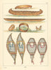 Native Americans—Ojibwe, Mandan & Lakota canoes & snowshoes—Catlin 1841 (1892)