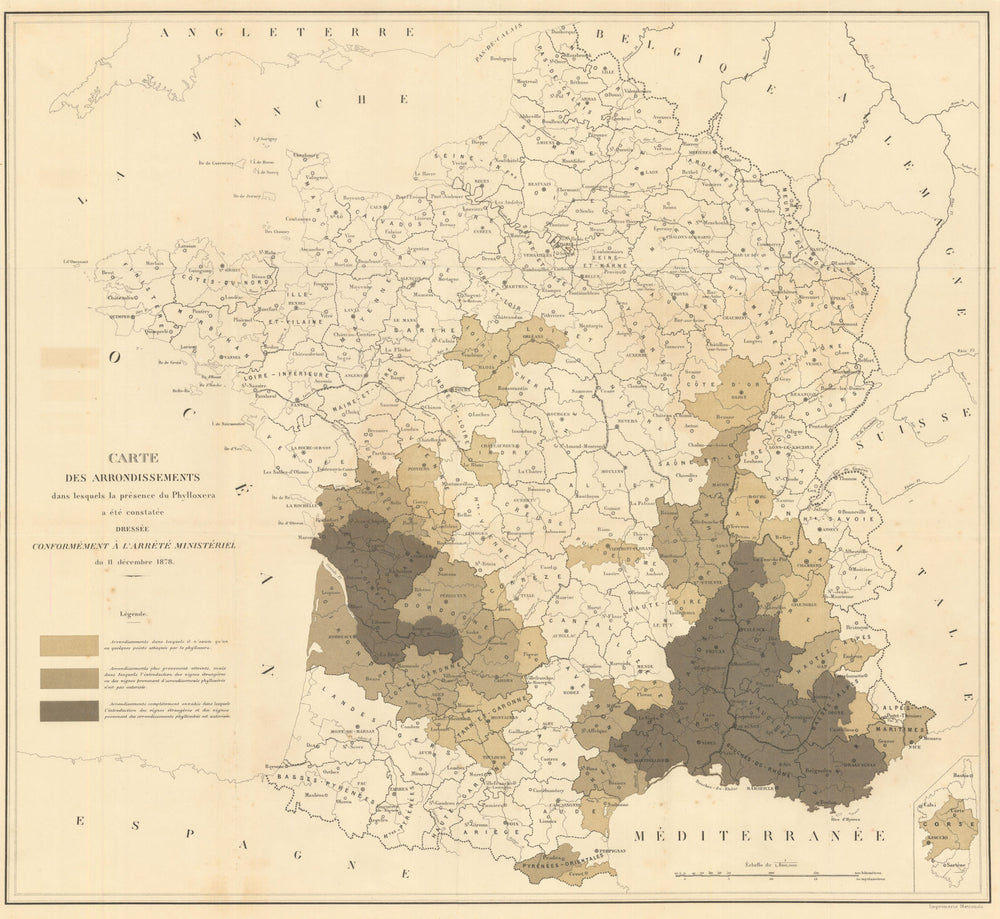 Map of France—Phylloxera-affected arrondissements—Viticulture / wine map 1878