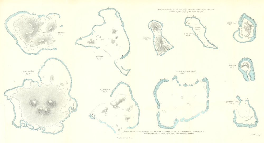 Darwin—Coral fringing reefs & atolls—Chuuk–Hao–Bora Bora–Gambier–Cocos 1895 map