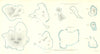 Darwin—Coral fringing reefs & atolls—Chuuk–Hao–Bora Bora–Gambier–Cocos 1895 map