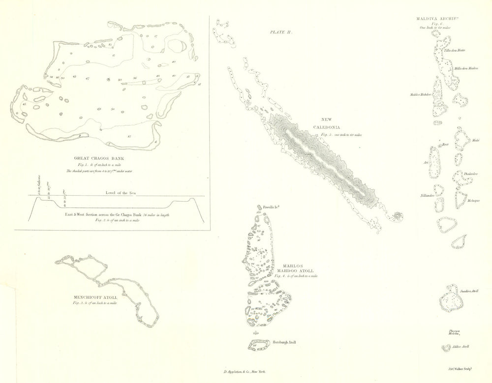 Chagos Archipelago, New Caledonia & Maldives—Coral Reefs—Charles Darwin 1895 map