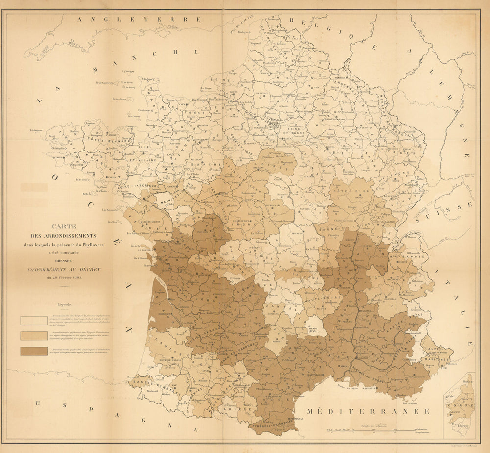 Map of France—Phylloxera-affected arrondissements—Viticulture / wine map 1885