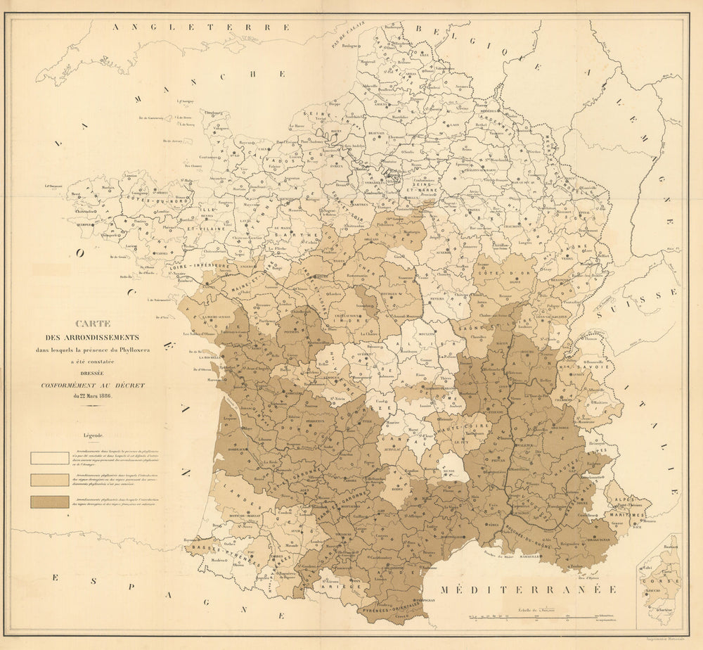 Map of France—Phylloxera-affected arrondissements—Viticulture / wine map 1886