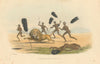 Lion—Tswana big game hunting, Vaal region—hand-coloured lithograph—Harris 1844