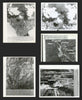 Cuban Missile Crisis—Spy-plane press photomaps—Soviet missile sites—AP/UPI 1962