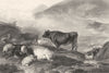 COWS. Cattle. Early morning c1870 old antique vintage print picture