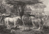 SOCIETY. The Council of Horses c1870 old antique vintage print picture