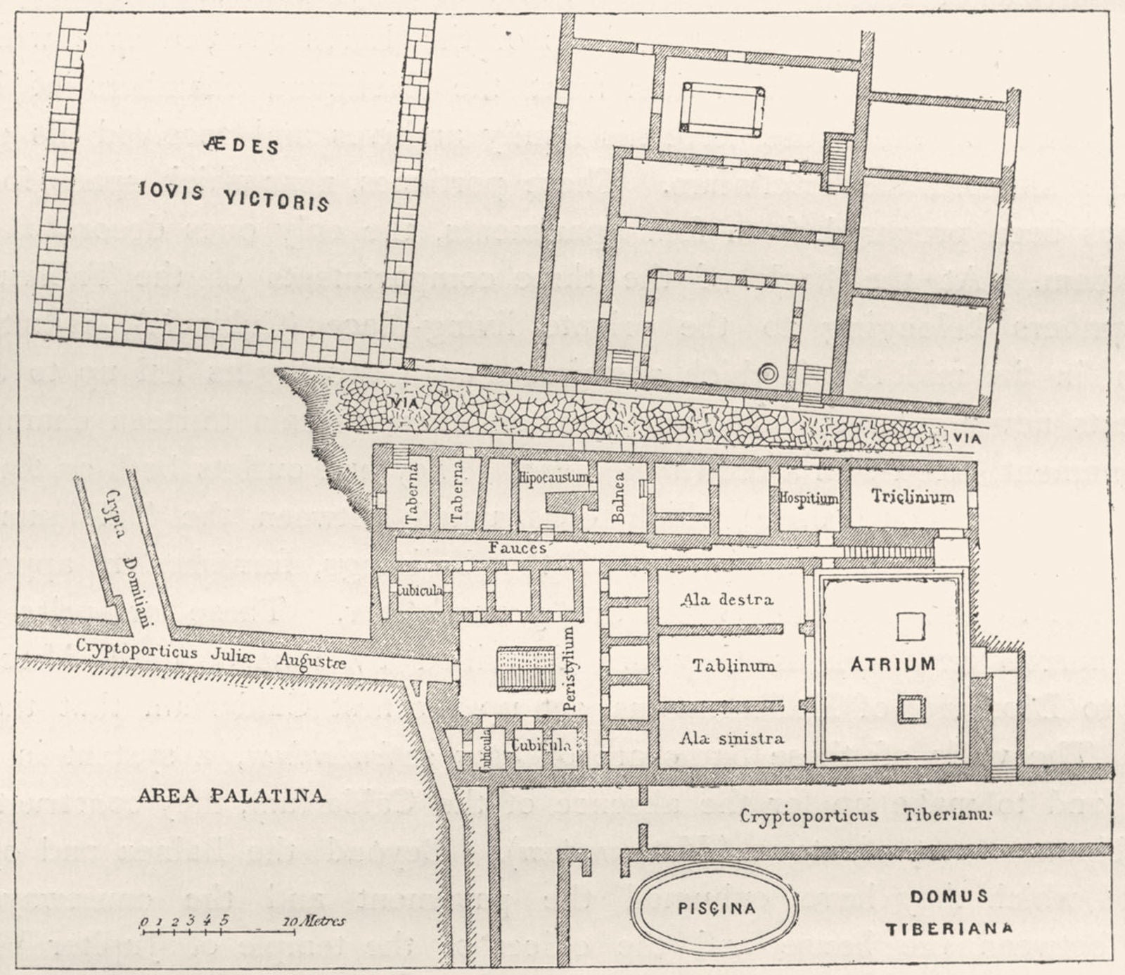 ROME. Plan of Livia's House 1872 old antique vintage print picture ...